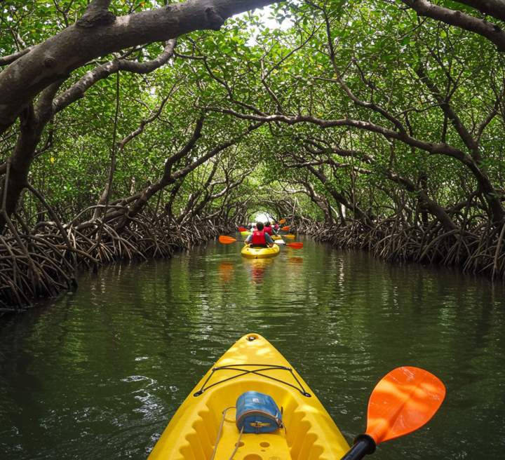 Promenade en kayak Martinique