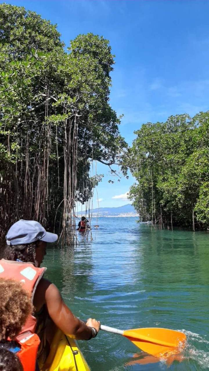 Visite de mangrove en kayak Martinique