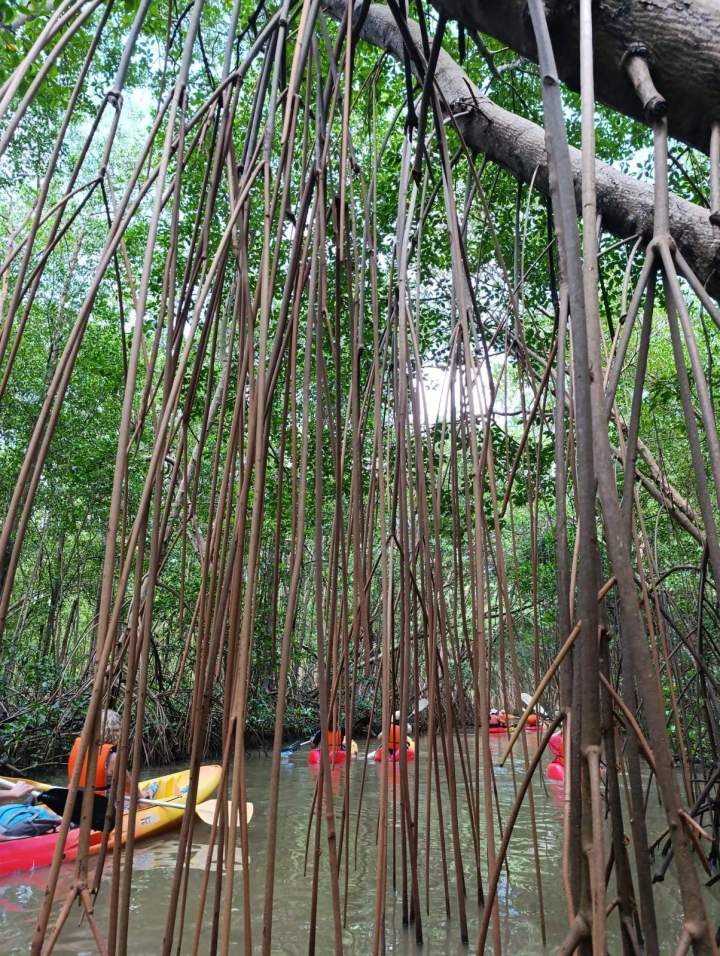 905201a5 3fe0 4760 8dbe 27b8fcff428a