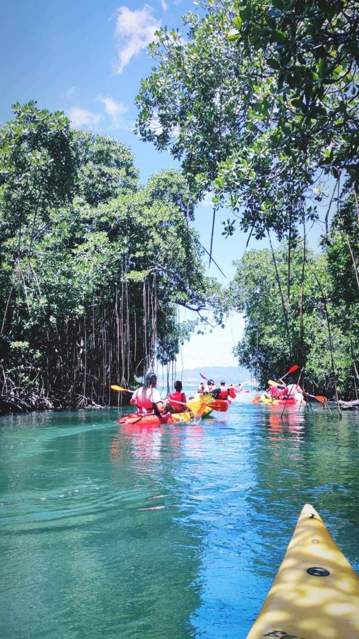 Randonnée en kayak Martinique