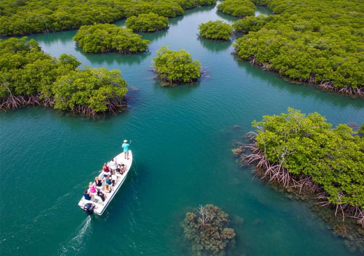 Promenade en bateau Martinique