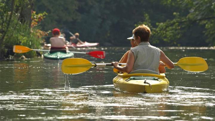 Location de canots Martinique