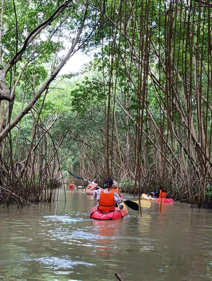 Louer un kayak simple Martinique