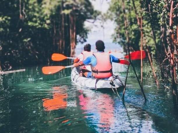 Louez nos canots pour une exploration en toute liberté.