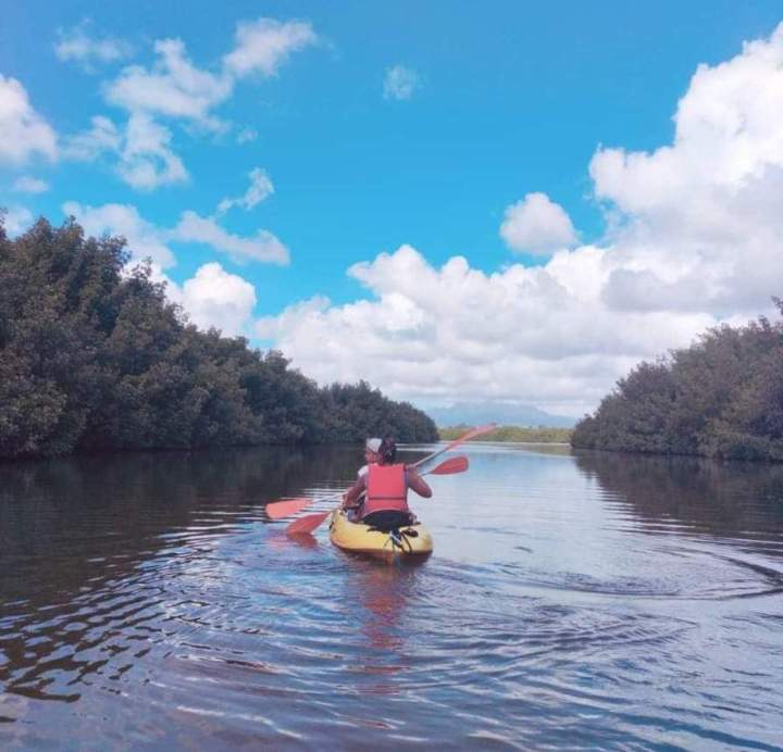 Location de kayak Martinique